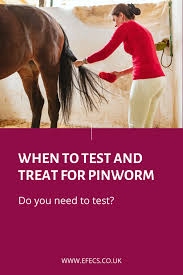 Image result for Pinworm Test