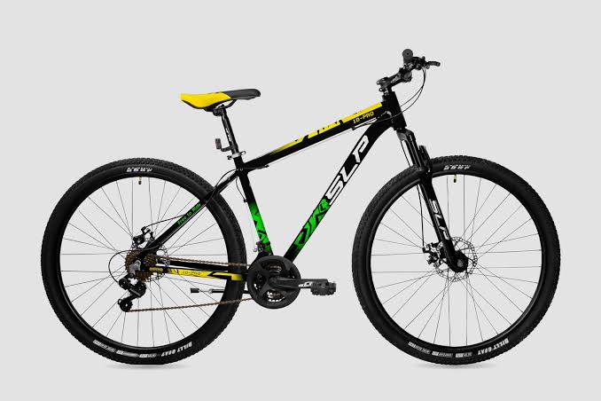 BICICLETA SLP R29 10 PRO T18