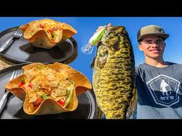 Save money when you place an order at wahoo's fish taco. Fish Taco Promo Code 08 2021