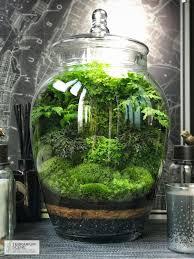 Pin By Terrarium Ideas On My Saves In 2021 Garden Terrarium Terrarium Terrarium Plants