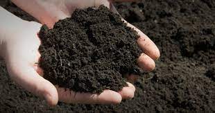 Maybe you would like to learn more about one of these? What Is Topsoil Online Soil