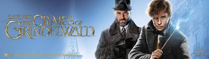 Well, maybe grindelwald saw one and knew what to look for. Fantastic Beasts And Where To Find Them Fan Merch Emp