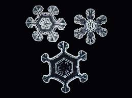 Frozen raindrops are actually called sleet. Tech Genius Nathan Myhrvold Says He Shot The Highest Resolution Images Of Snowflakes Ever Taken See The Pictures Here