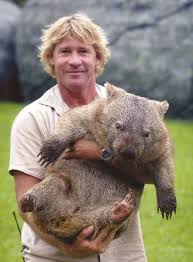 Steve irwin realised that the stingray's barb had punctured his lung but not his heart, justin lyons told australia's network ten television. Steve Irwin And His Wombat Aww