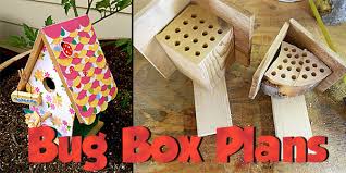 If you're making a pitched roof you will need a protractor to measure 45° angles. 25 Free Bug Box Plans At Planspin Com