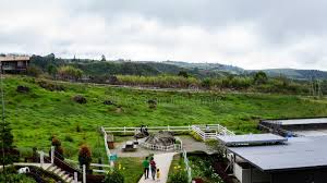 Located at the foothill of mount kinabalu, desa cattle dairy farm offers one of the most amazing scenery one could envision. Der Luftblick Auf Den Desa Dairy Farm In Ranau Sabah Redaktionelles Bild Bild Von Haupt Himmel 158734475