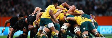 It has been confirmed that the lone bledisloe cup game in australia will be in perth on 21 august 2021. Bledisloe Cup Home Facebook