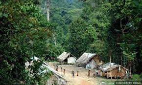 Photo about the kuala koh canopy walk, taman negara kelantan kuala koh, gua musang, kelantan, malaysia. Malaysiakini Kelantan Denies Water Pollution Behind Kuala Koh Outbreak