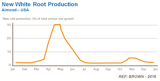 Almond Growth Requirements Yara United States