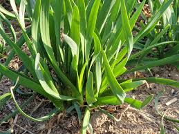 한살림 장보기 :: 지구를 살리는 뜻깊은 생활실천, 한살림