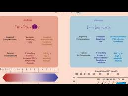 Part 1 Acidosis And Alkalosis Metabolic Or Respiratory Mp4 Youtube