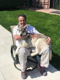 1 day ago · facebook share to twitter. Andrew Cuomo On Twitter Six Months Old And Captain Still Thinks He Is A Lap Dog