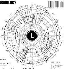 Iridology The Skeptics Dictionary Skepdic Com