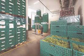 Mai multe societăţi din lugoj fac angajări în această perioadă, în diferite sectoare de activitate. Industria Alimentara A Iesit Cu Fruntea Sus Din Pandemie Traficmedia