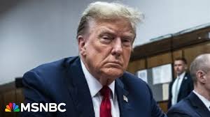 'No doubt' Trump's legal woes played to campaign's advantage during primary  season: Marc Short