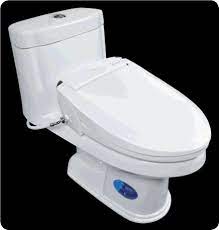 Handicap Toilets Best Toilets For Home Use Bidet Bidet Toilet Combo Bidet Toilet Attachment