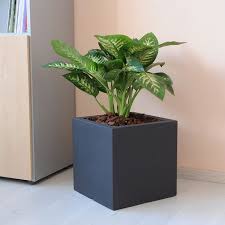 Stai cercando ispirazione per ceramica moderni portavasi da interno eleganti 2021? Vaso Da Esterno In Resina Amaranto Arredo Giardino Com