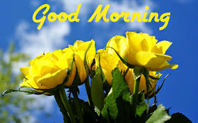 Good Morning Wednesday Images And Quotes Google Search Yellow Roses Good Morning Good Morning Flowers