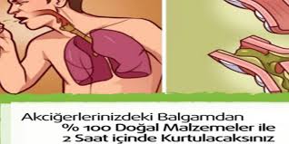 Hayata Dair Hersey Dogal Saglik Hipotiroidi