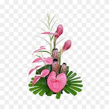 I will do business with you again, and highly recommend you to anyone needing my tropicals had never been fresh enough to generate an interest with my clients. Hawaii Flower Delivery Floristry Floral Design Tropical Flower Flower Arranging Pin Artificial Flower Png Pngwing