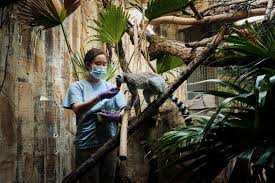 Check spelling or type a new query. My Summer As A Zookeeper At The Cleveland Metroparks Zoo Bu Today Boston University