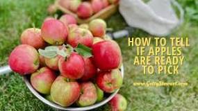 Image result