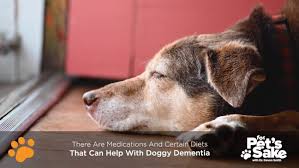For pet sake llc does a truly outstanding job caring for my pets on a daily basis. Lhacvunjaii86m