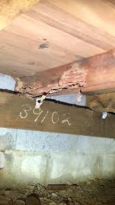 Insect, termite, and pest control services are worth it and work to remove pests, prevent home damage, and keep your family and pets healthy and safe. Termite Workings And Damage Found To Db Pest Management Facebook