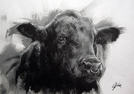 Aberdeen Angus Bull Print By Leanne Dolan Cow Pictures Bull Art Animal Art