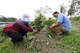 Organic farming and production had started up during year 1990. Organic Farming Catching On