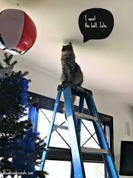 Canvas wall art, framed wall art, photography wall art Patriotic Christmas Tree Redhead Can Decorate