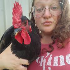 What are good campsites in the Upper Peninsula for rockhounding and hiking?