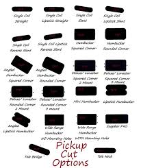 *if possible, then with 1 master volume too*. Custom Designed Strat Pickguard Build Your Own Strat Guard