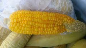 Sayur bening sangat baik sebagai menu sahur untuk ibu menyusui. Inilah 6 Manfaat Memberikan Jagung Manis Sebagai Menu Mpasi Anak Tribunnews Com Mobile