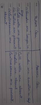 Check spelling or type a new query. The Plant Cell Can Be Identified From An Animal Cell By The Brainly In