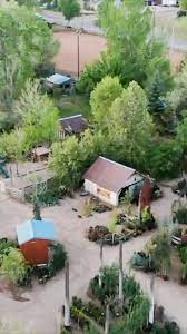 This could be a desired size for some trees… read more Big Trees Nursery Gardens Home Facebook