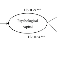 Jan 01, 2020 · diffpool (ying et al., 2018b) uses a learnable hierarchical clustering module by training an assignment matrix s t in each layer: Yu Shan Chen S Research Works National Taipei University And Other Places