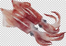 Pngtree menawarkan cumi cumi gambar png dan vektor, serta gambar clipart cumi cumi latar belakang transparan dan file psd. Gurita Cumi Cumi Laut Sotong Area Garis Makanan Laut Png Klipartz