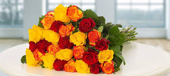 Apparently solo fizzy drink also works, not too much. Aldi Blumen Garantie