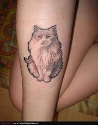 We did not find results for: Stray Cat Tattoo On Leg