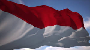 Gambar bendera merah putih berkibar kartun. Bendera Merah Putih Video Stock Gratis 1 Menit Youtube