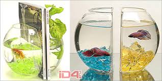 Diy river aquarium fish tank. Aquarium Aquarium Addicts Anonymous Page 11