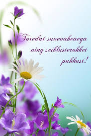 Pildiotsingu suvevaheaeg tulemus