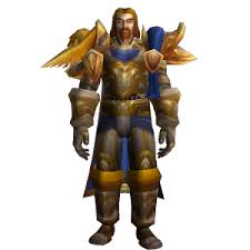 Alliance Paladin - NPC - World of Warcraft