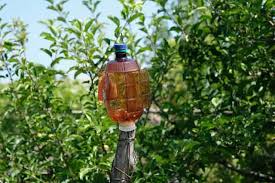 Image result for plašič krtků z pet lahve