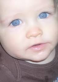 Kaydon Sillitoe Obituary (2008