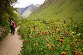 Is The Hiking Trail Near Me Good Enough What You Need To Know About Hiking Trails Hiking A Very Relaxing Past Time Nature Trail Hiking Trails Hiking Spots