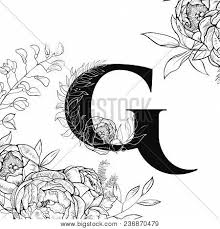 Here's my collection of weird and cool text letters. Laser Cut Template Vector Photo Free Trial Bigstock