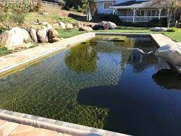 Many water parks and public pools (including all los angeles city pools) remain closed, as state and county officials gradually adjust their pandemic guidance. Going To California Bionova