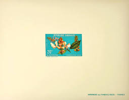 Image result for Thomandersia hensii